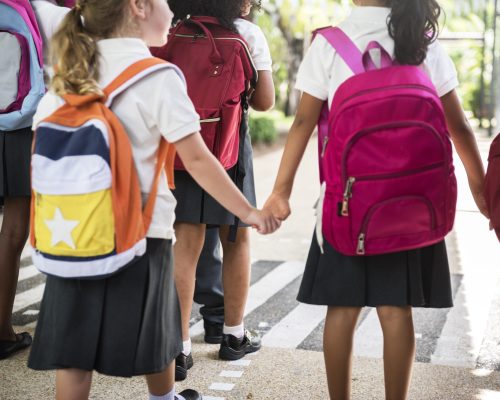 Kindergarten students walking crossing school road